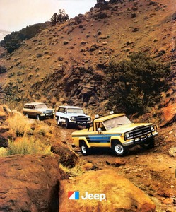 1980 Jeep Full Line-28.jpg